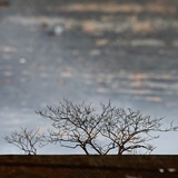 dailyPhoto34